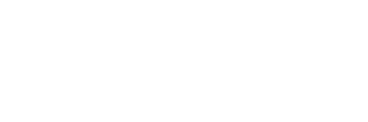 prompt4ai.com logo white